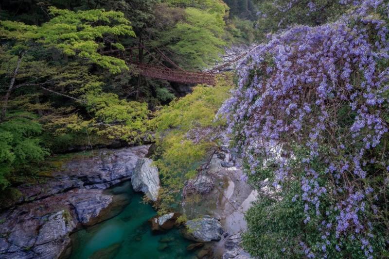 四国旅行のhub拠点 古民家ゲストハウス Heso Camp 三好市 外观 照片